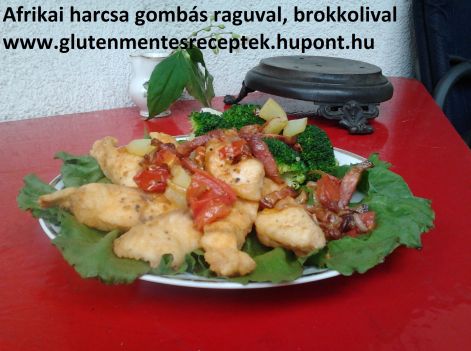 afrikai_harcsa_gombas_raguval_2014.05.09.jpg