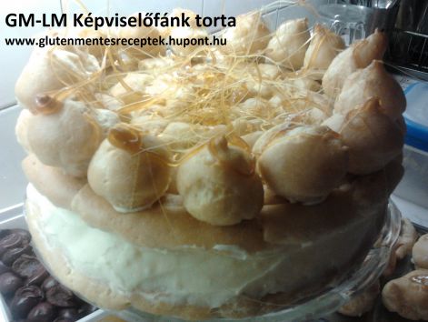 gm-lm_kepviselofank_torta_-_feldiszitve.jpg