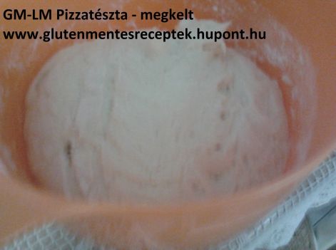 gm-lm_pizzateszta_megkelt.jpg