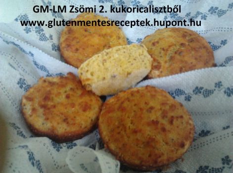 gm-lm_zsomi_2_megsult.talalva.jpg