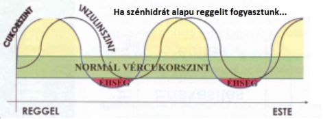 idealis_reggeli_2._ha_szenhidrat_alapu_a_reggelink.jpg